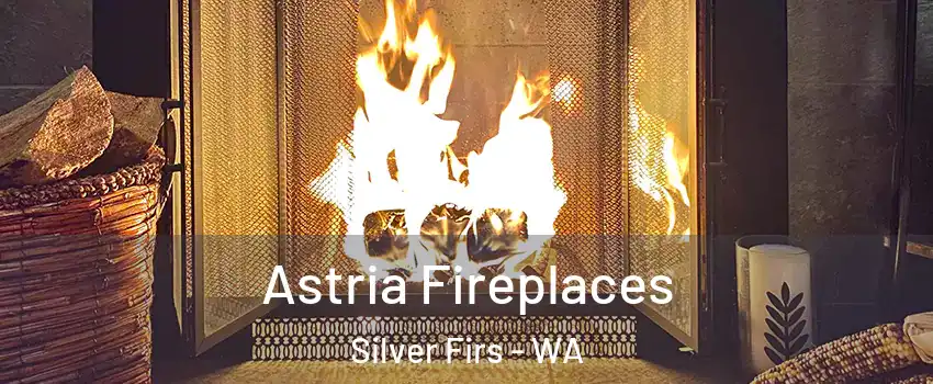  Astria Fireplaces Silver Firs - WA