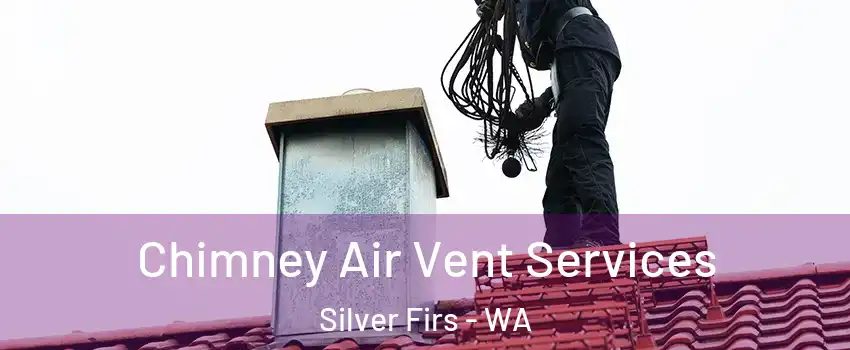  Chimney Air Vent Services Silver Firs - WA