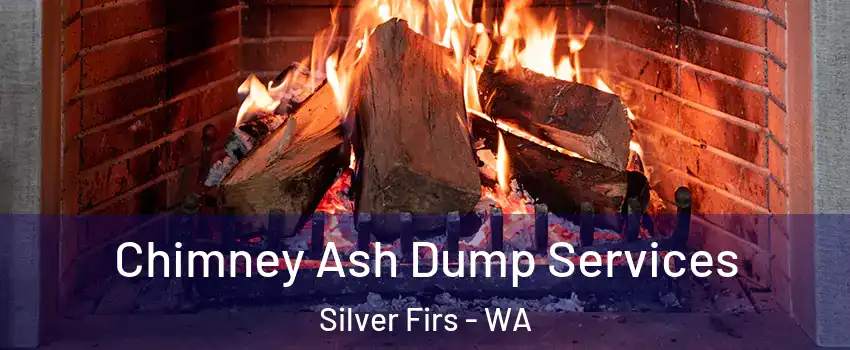  Chimney Ash Dump Services Silver Firs - WA