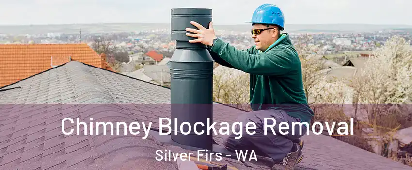  Chimney Blockage Removal Silver Firs - WA