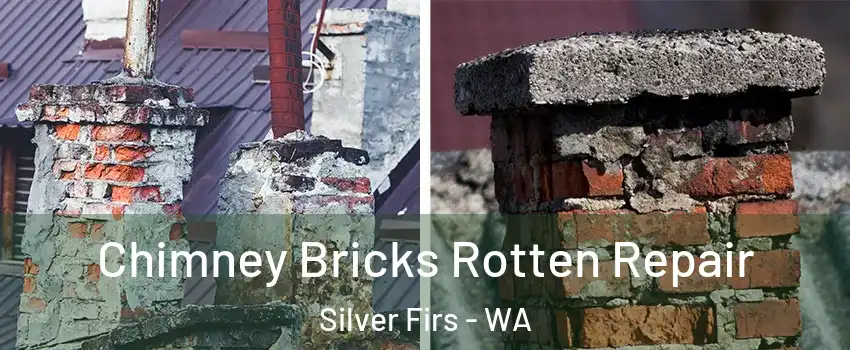  Chimney Bricks Rotten Repair Silver Firs - WA