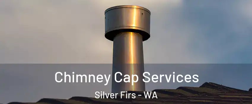  Chimney Cap Services Silver Firs - WA