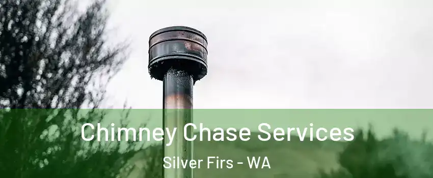  Chimney Chase Services Silver Firs - WA