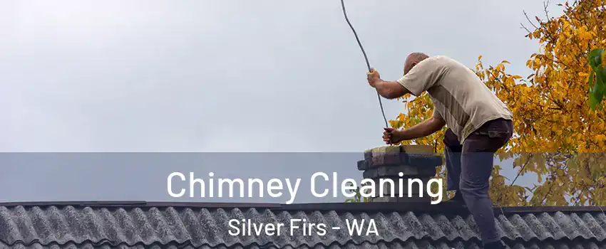  Chimney Cleaning Silver Firs - WA