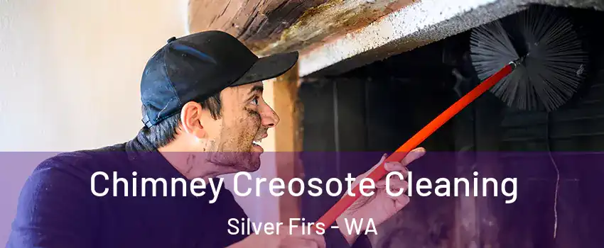  Chimney Creosote Cleaning Silver Firs - WA