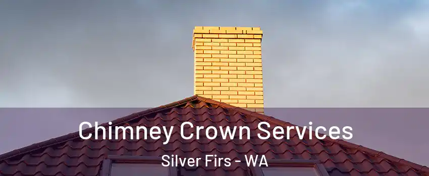  Chimney Crown Services Silver Firs - WA
