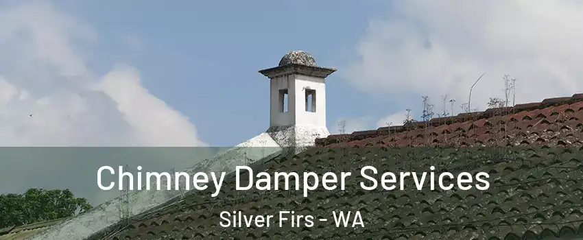  Chimney Damper Services Silver Firs - WA