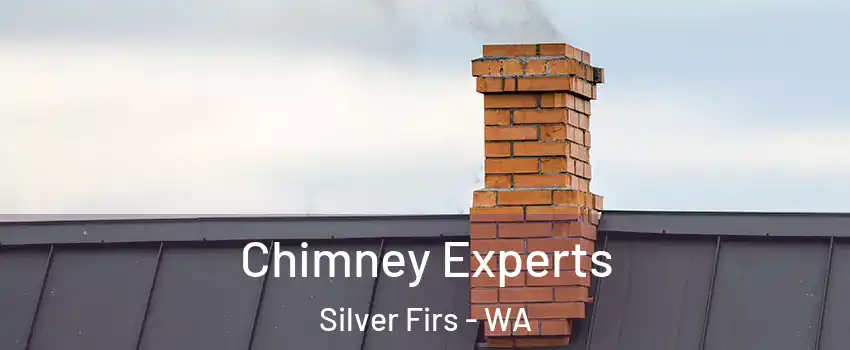  Chimney Experts Silver Firs - WA