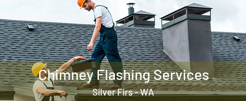  Chimney Flashing Services Silver Firs - WA