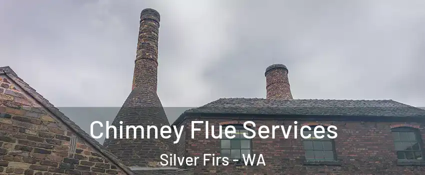  Chimney Flue Services Silver Firs - WA