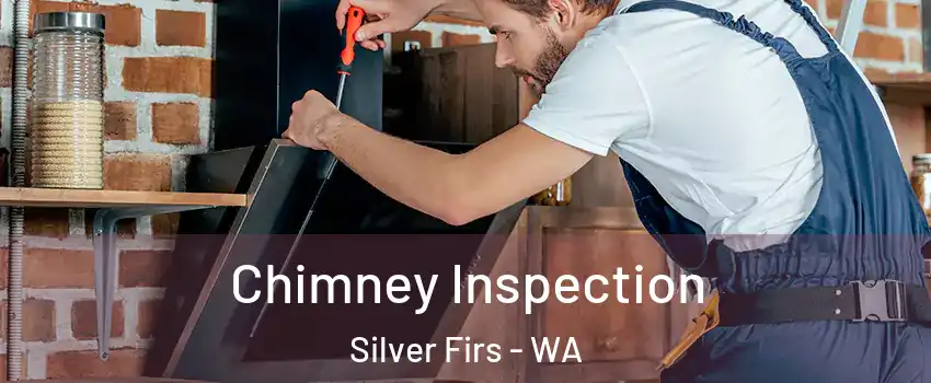  Chimney Inspection Silver Firs - WA
