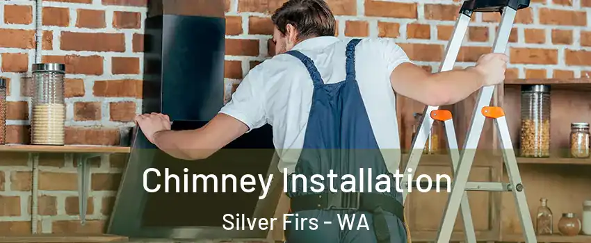  Chimney Installation Silver Firs - WA