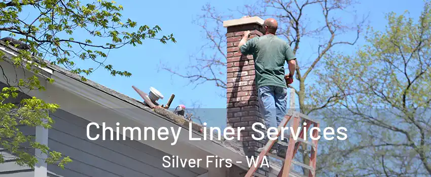  Chimney Liner Services Silver Firs - WA