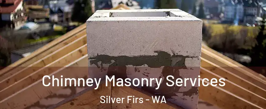 Chimney Masonry Services Silver Firs - WA
