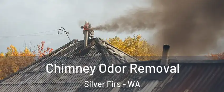  Chimney Odor Removal Silver Firs - WA