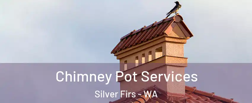  Chimney Pot Services Silver Firs - WA
