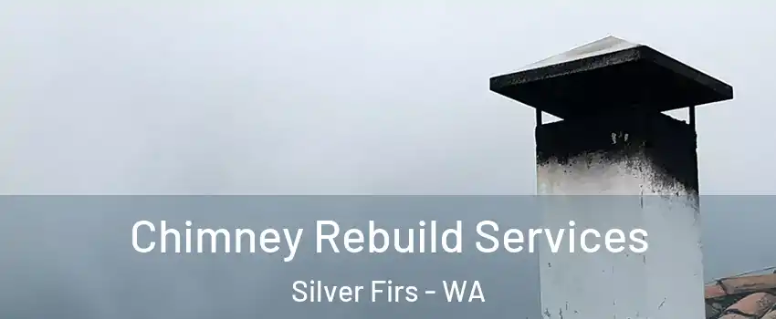  Chimney Rebuild Services Silver Firs - WA