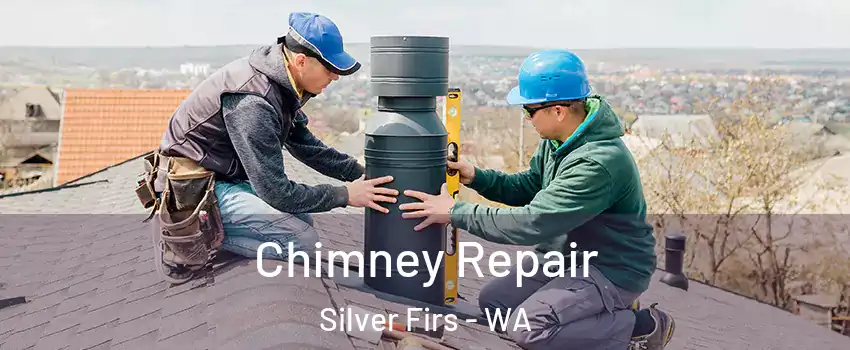  Chimney Repair Silver Firs - WA