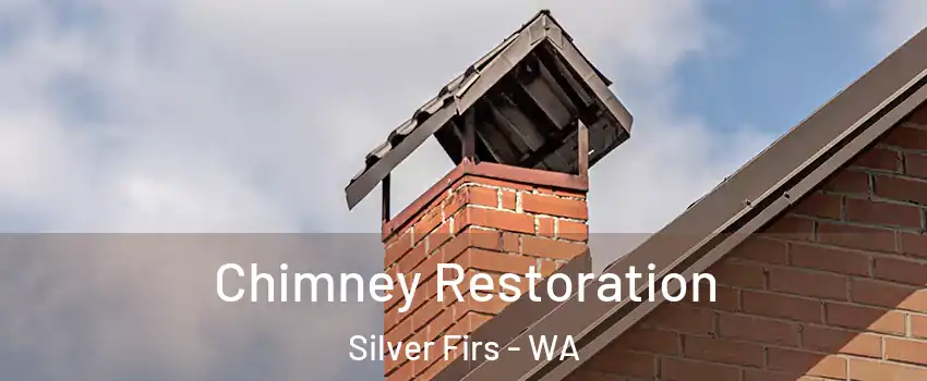  Chimney Restoration Silver Firs - WA