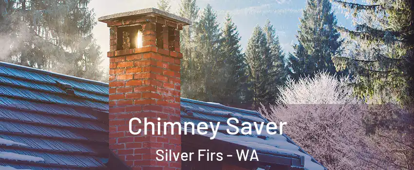  Chimney Saver Silver Firs - WA