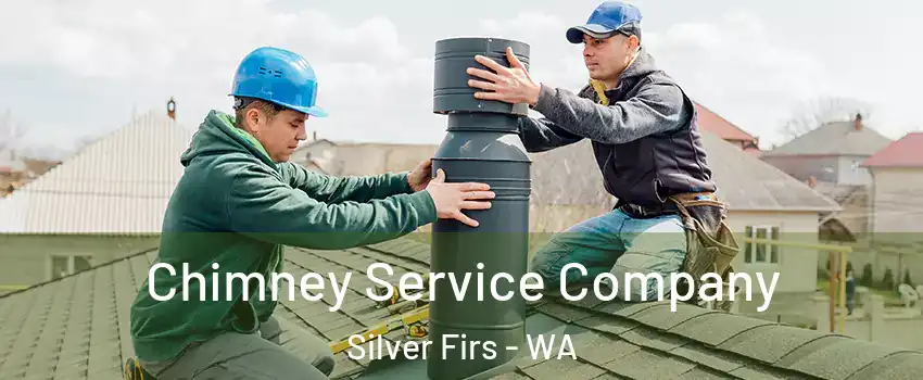  Chimney Service Company Silver Firs - WA