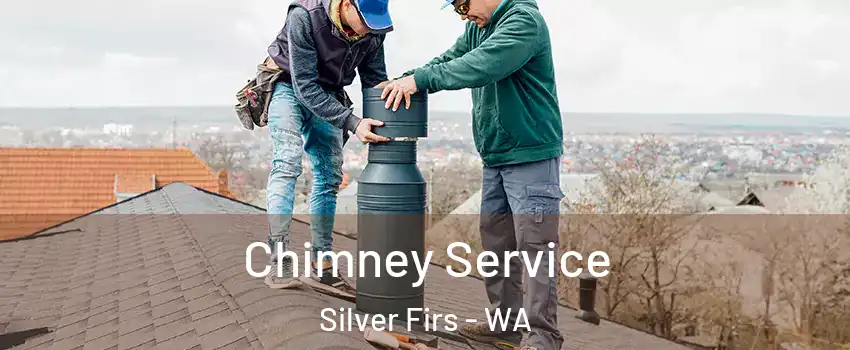  Chimney Service Silver Firs - WA