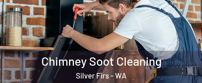  Chimney Soot Cleaning Silver Firs - WA