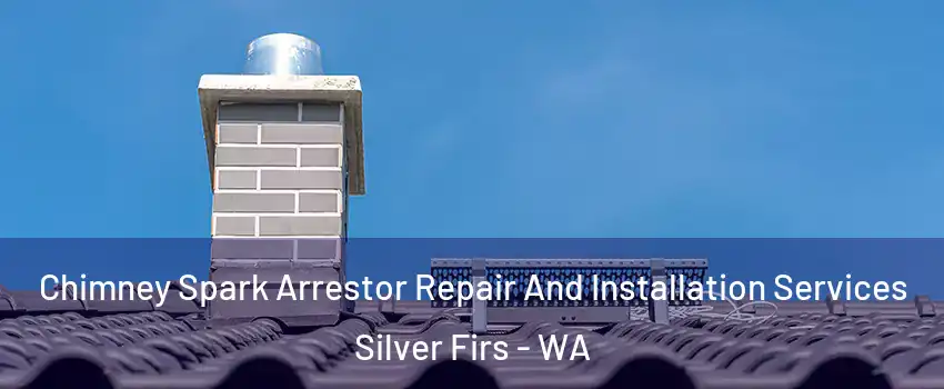  Chimney Spark Arrestor Repair And Installation Services Silver Firs - WA