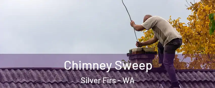  Chimney Sweep Silver Firs - WA