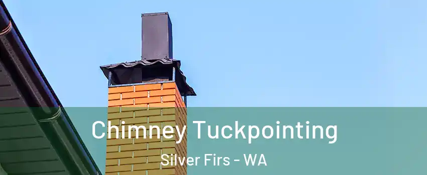  Chimney Tuckpointing Silver Firs - WA