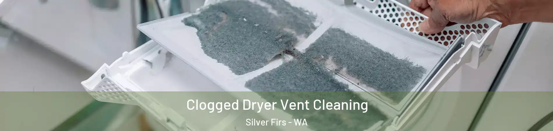  Clogged Dryer Vent Cleaning Silver Firs - WA