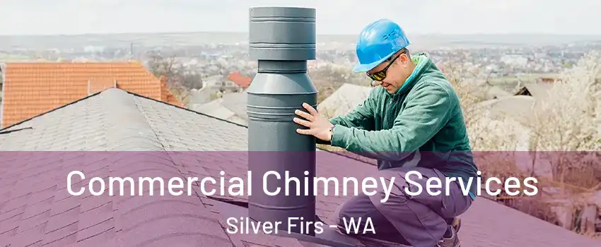  Commercial Chimney Services Silver Firs - WA