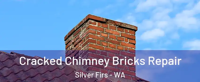  Cracked Chimney Bricks Repair Silver Firs - WA