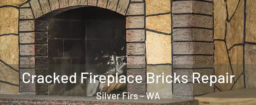  Cracked Fireplace Bricks Repair Silver Firs - WA