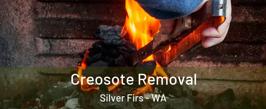  Creosote Removal Silver Firs - WA