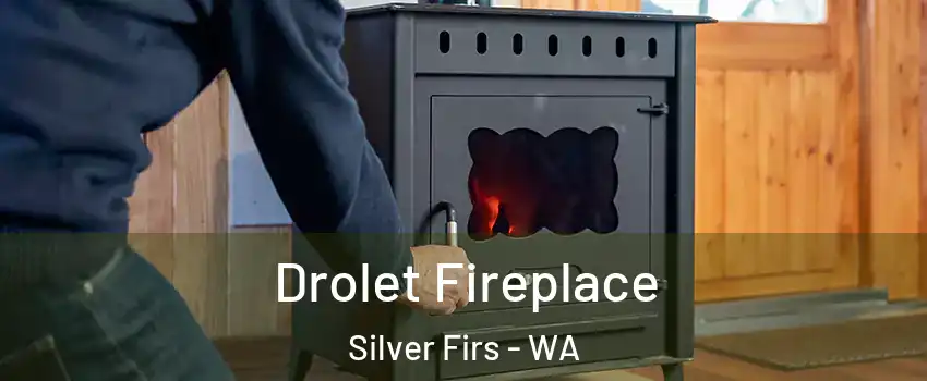 Drolet Fireplace Silver Firs - WA