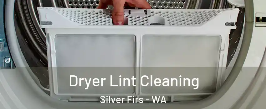  Dryer Lint Cleaning Silver Firs - WA