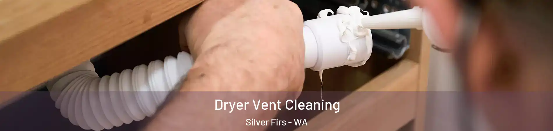  Dryer Vent Cleaning Silver Firs - WA