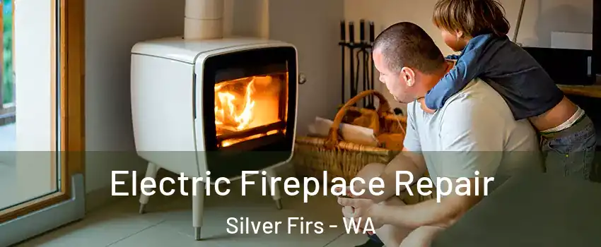  Electric Fireplace Repair Silver Firs - WA