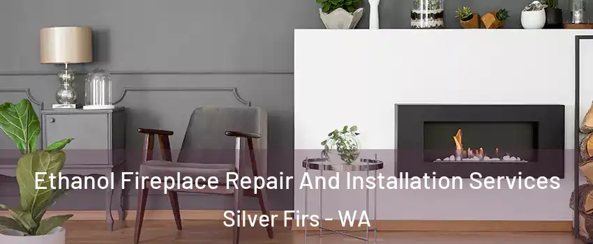  Ethanol Fireplace Repair And Installation Services Silver Firs - WA