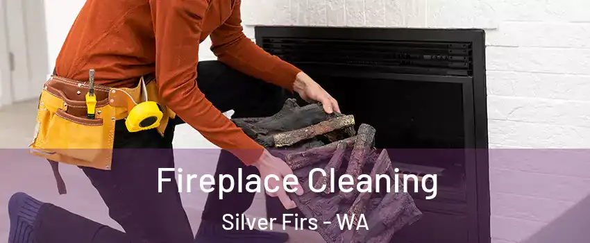  Fireplace Cleaning Silver Firs - WA