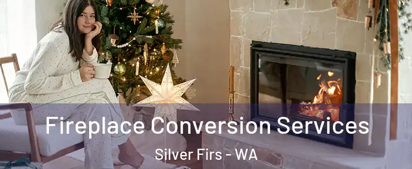  Fireplace Conversion Services Silver Firs - WA
