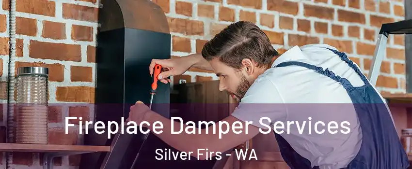  Fireplace Damper Services Silver Firs - WA