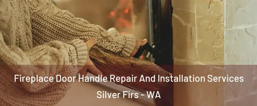  Fireplace Door Handle Repair And Installation Services Silver Firs - WA
