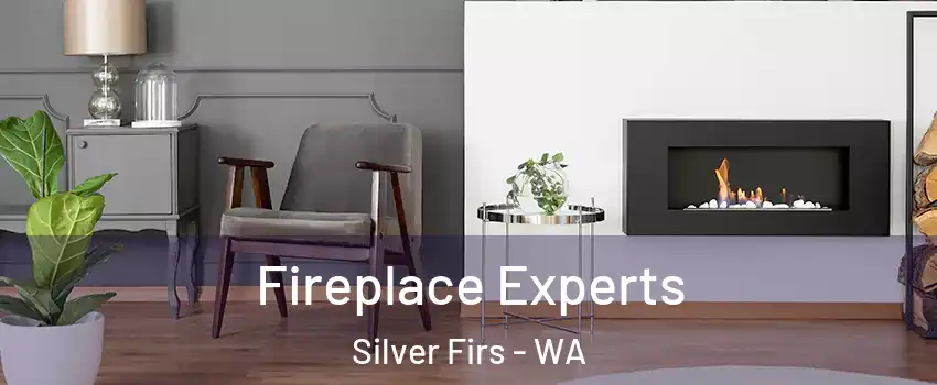  Fireplace Experts Silver Firs - WA