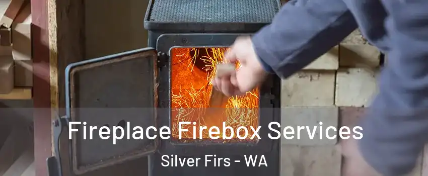  Fireplace Firebox Services Silver Firs - WA