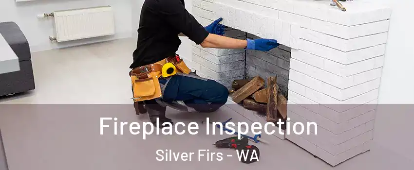  Fireplace Inspection Silver Firs - WA