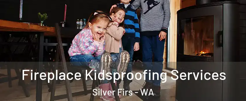  Fireplace Kidsproofing Services Silver Firs - WA