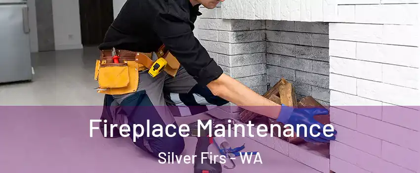  Fireplace Maintenance Silver Firs - WA