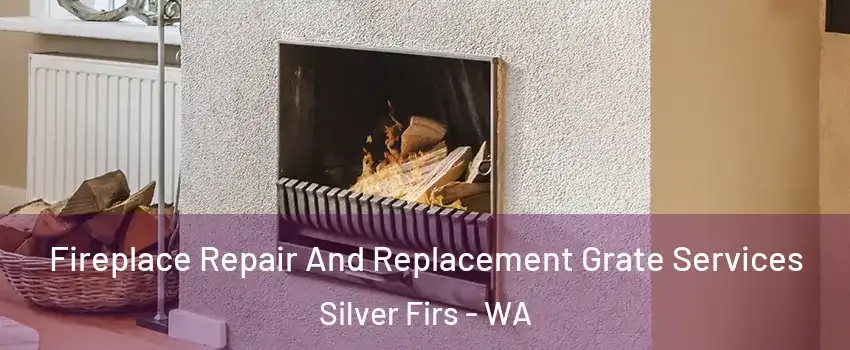  Fireplace Repair And Replacement Grate Services Silver Firs - WA